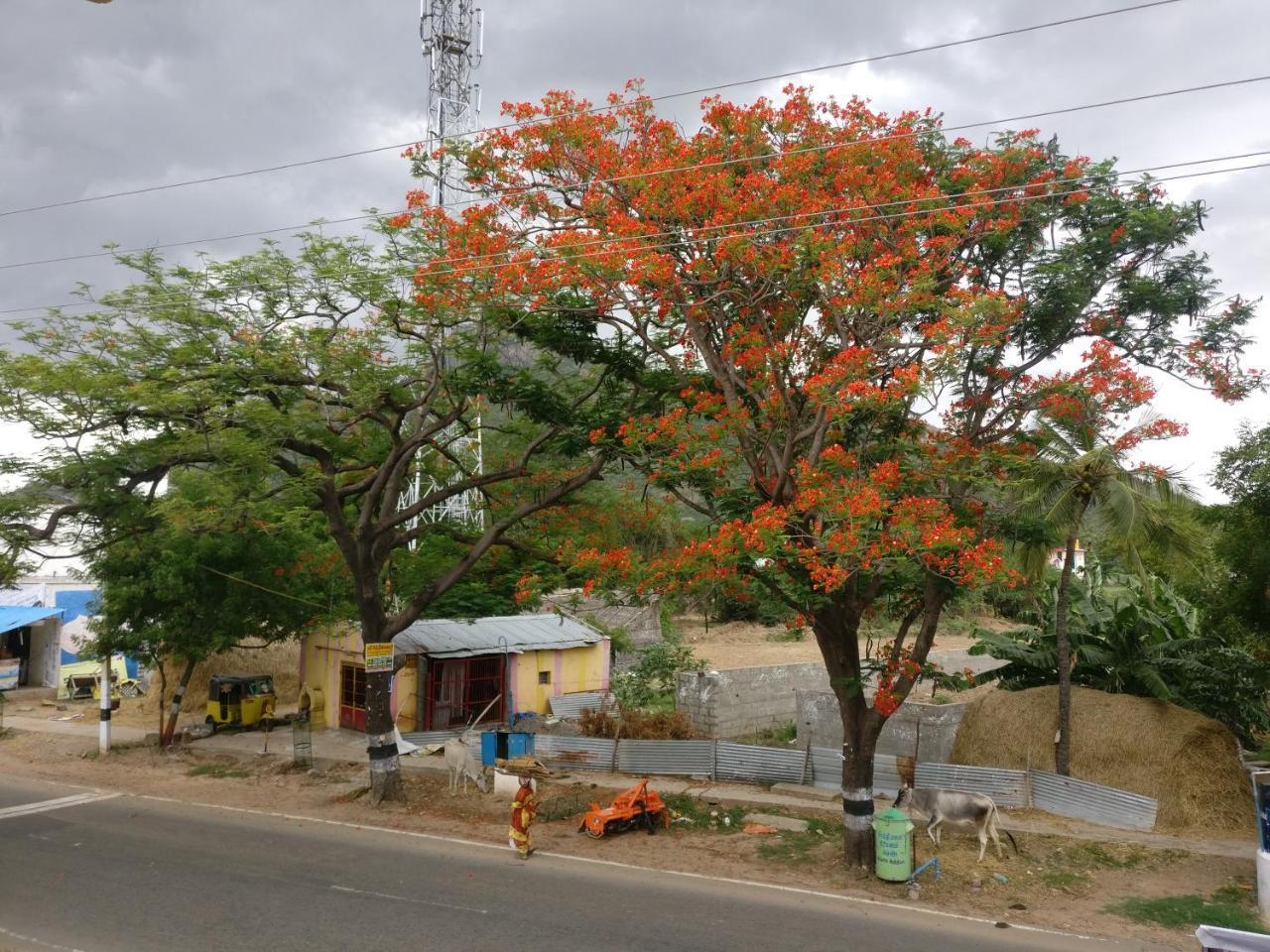 Selvalakshmi Restaurant&Lodge Tiruvannamalai Bagian luar foto